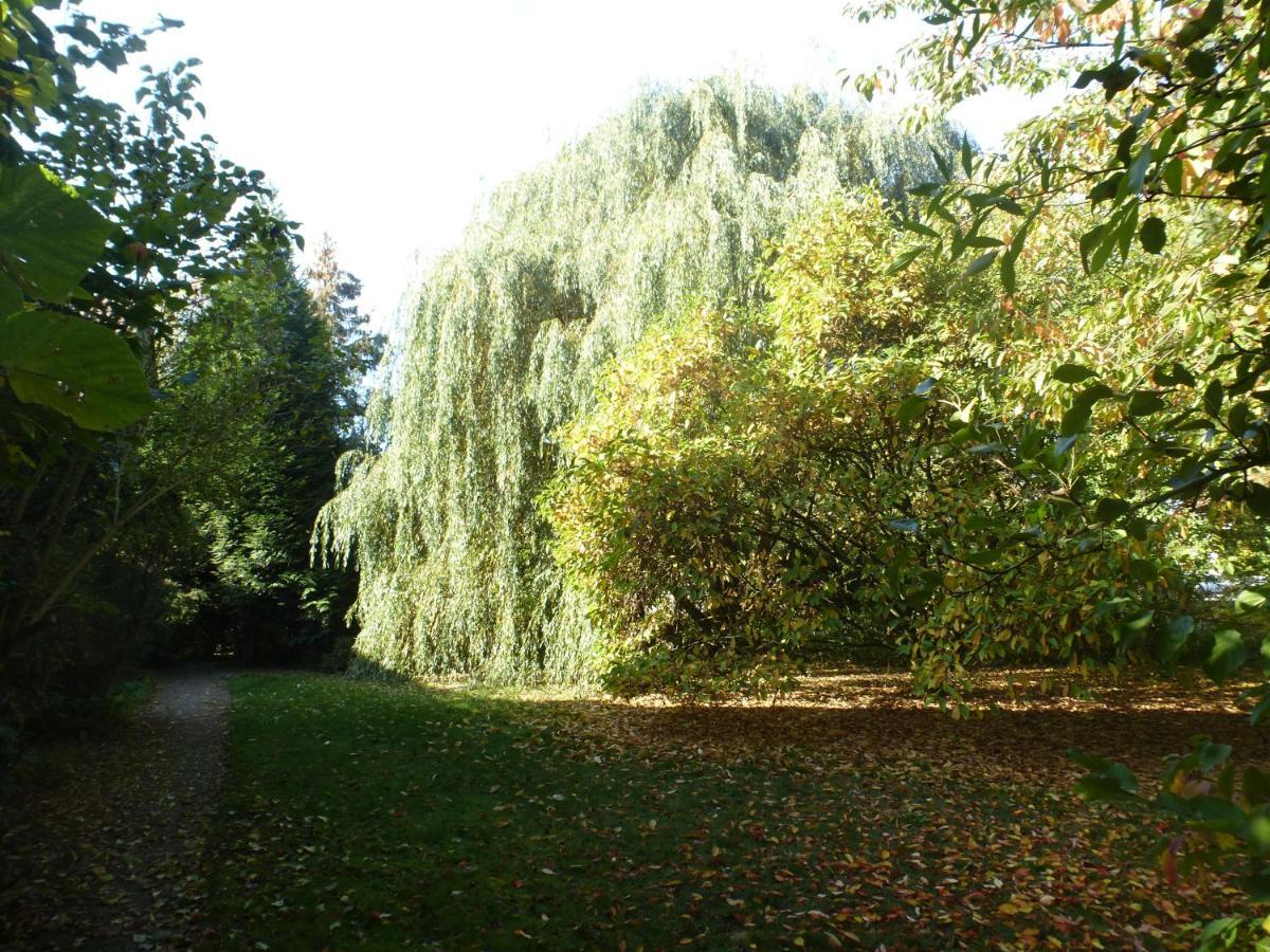 Fewo Im Naturschutzgebiet Hiddenhausen Zewnętrze zdjęcie