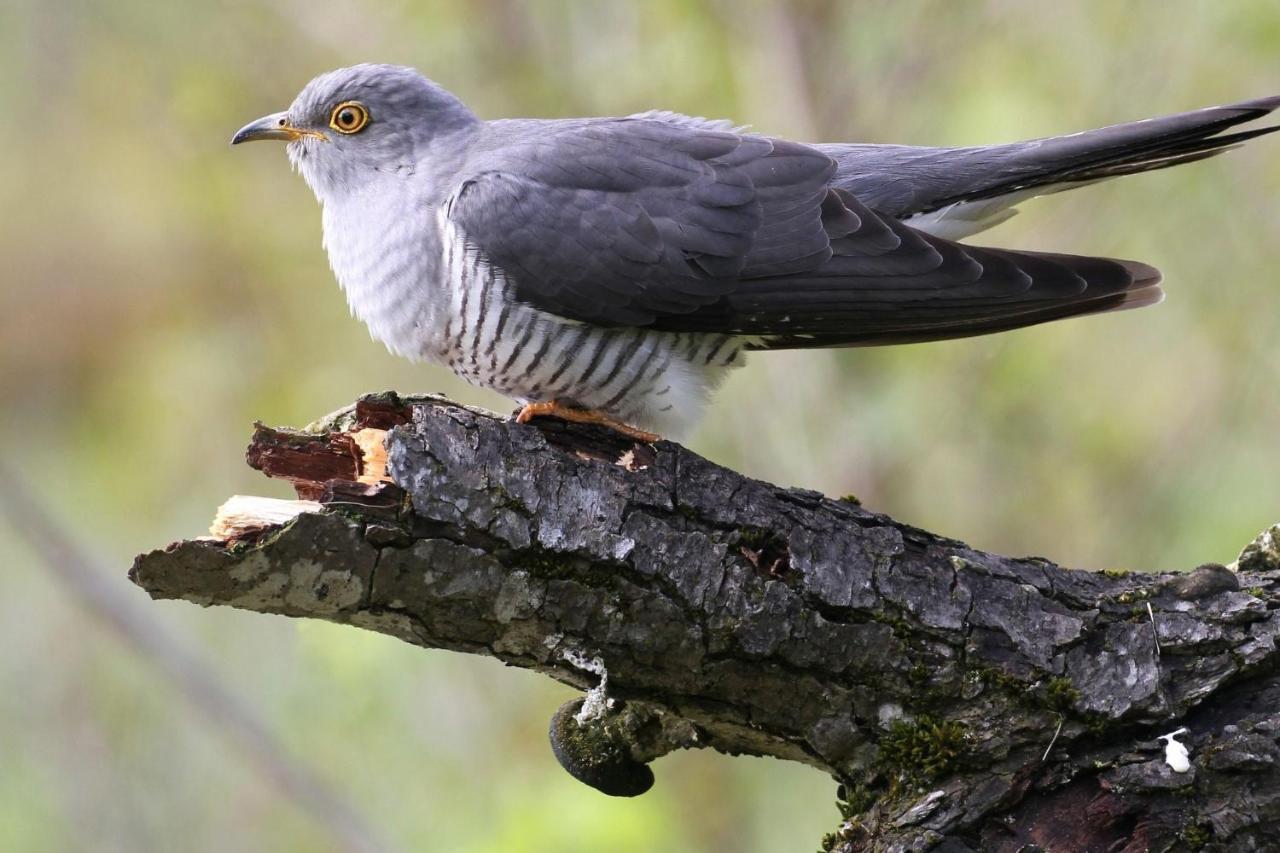 Fewo Im Naturschutzgebiet Hiddenhausen Zewnętrze zdjęcie