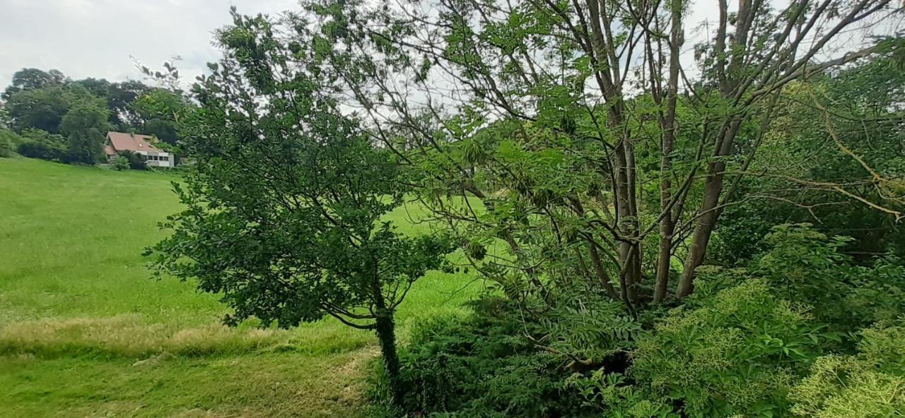 Fewo Im Naturschutzgebiet Hiddenhausen Zewnętrze zdjęcie